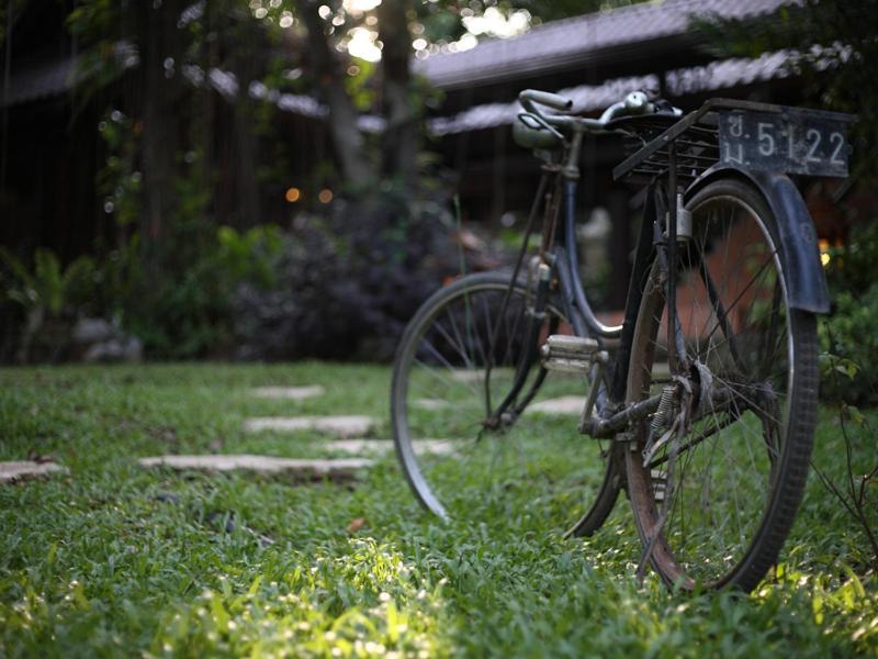 Viva Chiang Mai Nature Home Stay Екстер'єр фото
